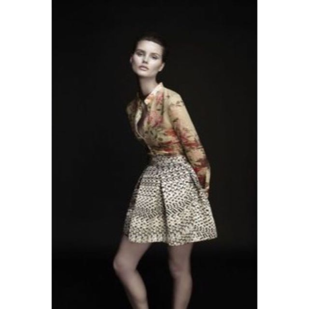 Zimmermann Brocade Skater Skirt Sz 2